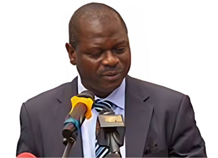 The Gambia Embeds Climate Goals into Public Finance System