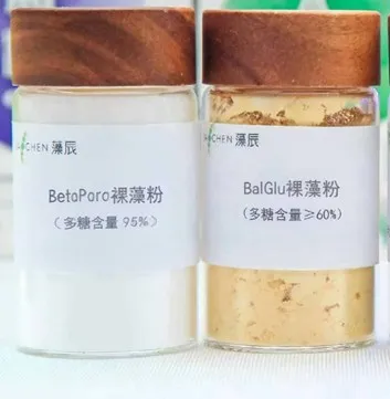 Microalgae: Beijing Firm Cultivates Future of Sustainable Food
