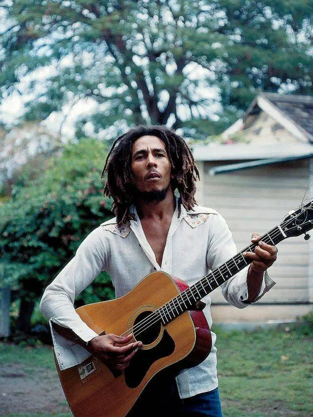 Bob Marley: The Universal Rhythms of a Rebel Soul