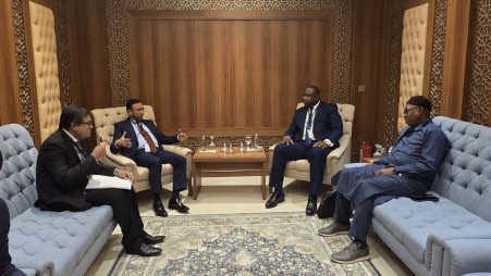 Bangladesh Pursues Rohingya Justice and Enhanced Cooperation in OIC Bilaterals