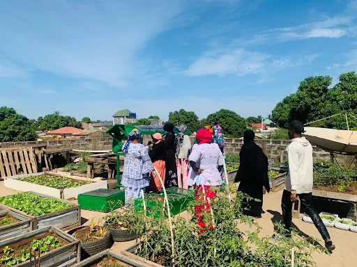 Gambia's Farmers Grapple with Post-Harvest Losses Amidst Storage and Power Woes