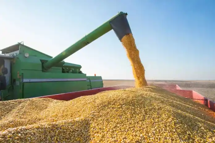 NFSPMC Reports Over D16 Million in Liabilities Due to Groundnut Shortfalls